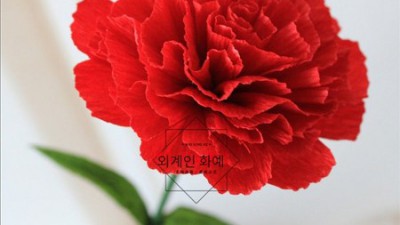 원데이 플라워 클래스 가격 비교 후 후회 없는 선택! 💐