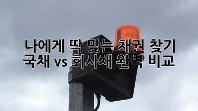나에게 딱 맞는 채권 찾기 🧐 국채 vs 회사채 완벽 비교!