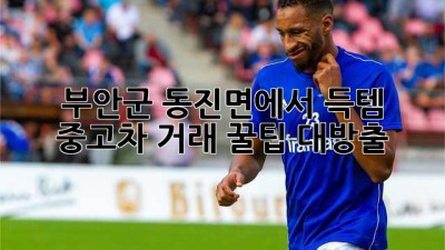 부안군 동진면에서 득템?! ✨ 중고차 거래 꿀팁 대방출!